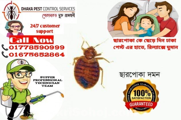 Pest Control Service Dhaka Bangladesh